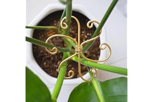 YOHSNOR 5PCS Monstera Plant Support System 4.1IN - Durable Hook Stem Supports for Healthy Growth, Stabilizer for Leaves and Turtle Shells, Easy-to-Use Indoor Plant Care, Ideal Present for Plant Lovers