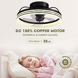 LUDOMIDE Ceiling Fans with Lights, 360° Rotating