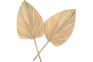 BESPORTBLE 2pcs Palm Leaves Decor Tropical Palm Leaves Dried Plants for Wedding Fans Hand Fans