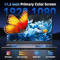 SGIN 17.3 Inch Laptop Computer, Windows 11 Laptops