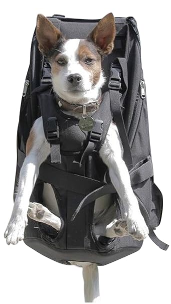 Dog Carrier / Pet Carrier / Hundetasche / Rucksack für Hunde / Hundetrage / Hundetragetasche / Hunderucksack / Tasche für Hun