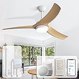 Sofucor 52 Inch Smart Ceiling Fan, Modern Outdoor