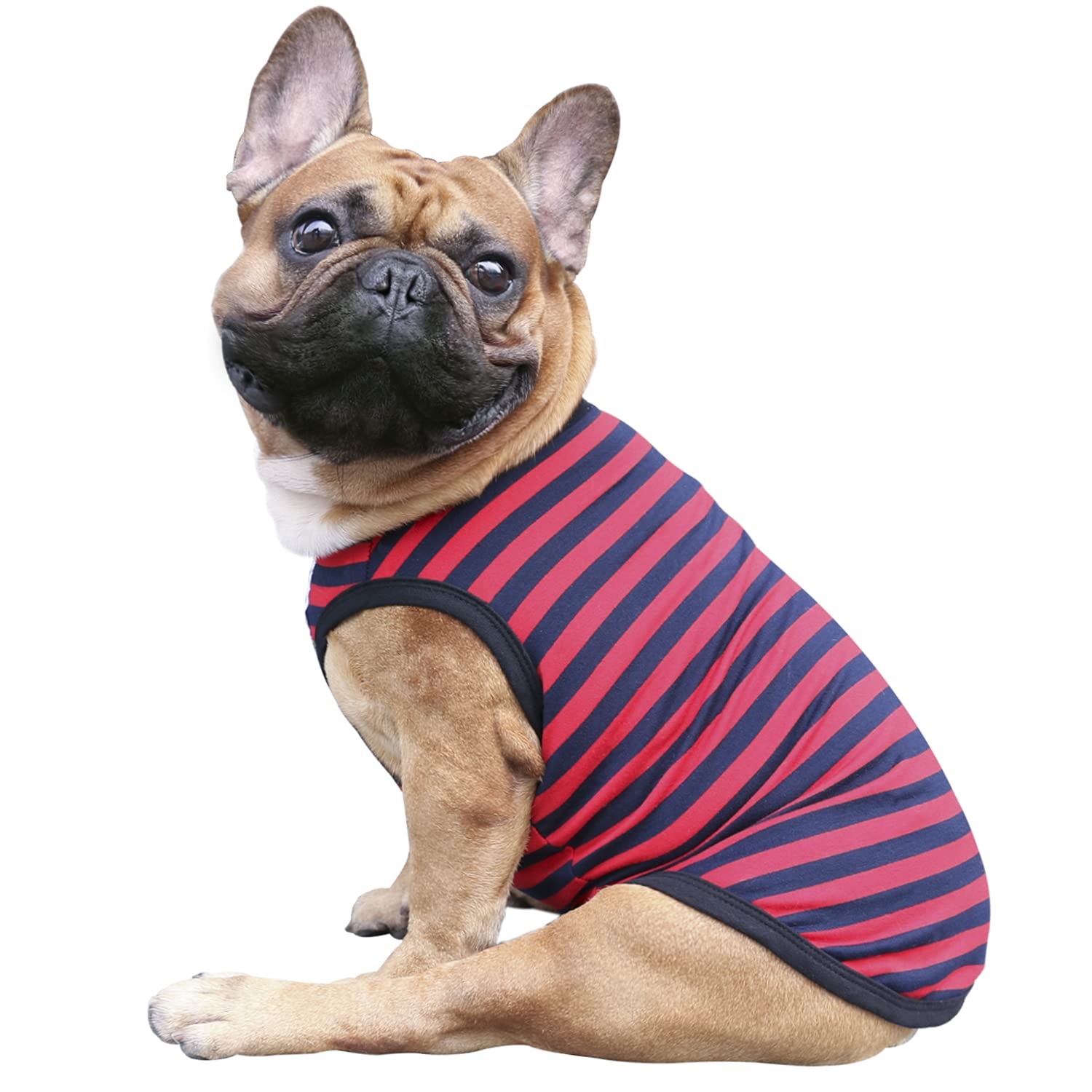 iChoue French Bulldog Striped T Shirts Clothes for Medium Dogs Vest Tank Tops Puppy Frenchie Pug English Boston Terrier Pitbull Red Blue Strips - M