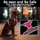 HEELE No Pull Dog Harness XL Reflective Front Back Leash Attachments Fuchsia view 6