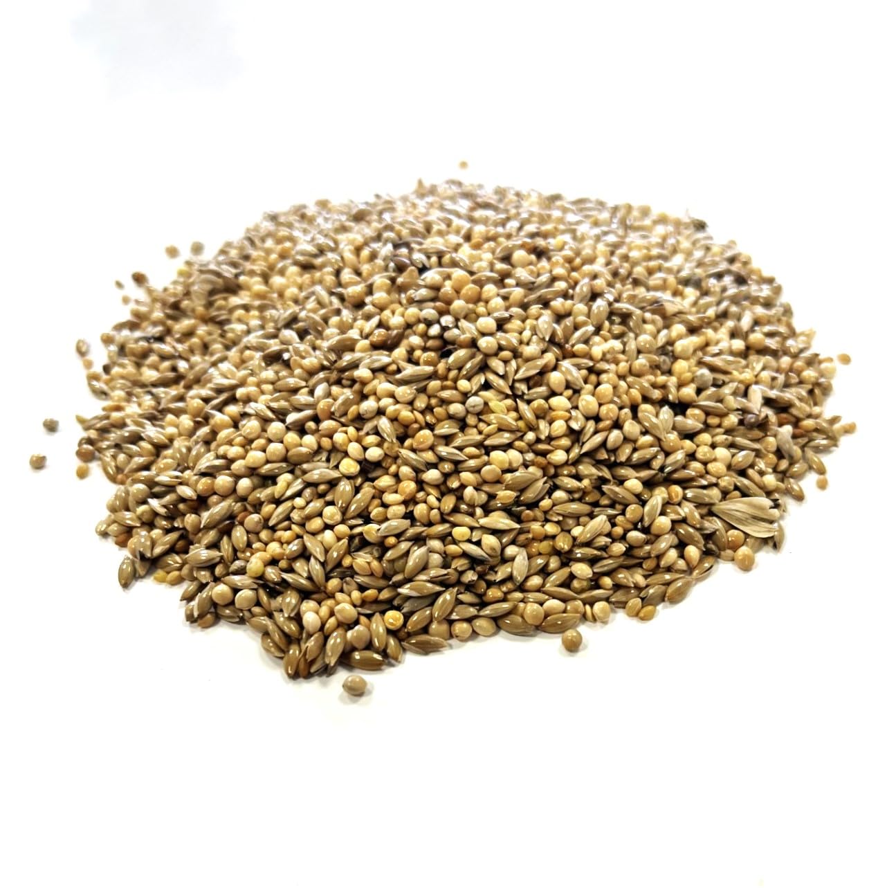 1kg Foreign Finch Seed LJJ
