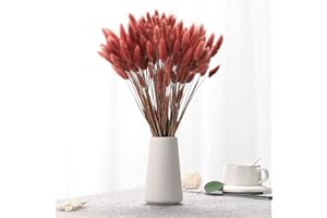 JTODER Natural Bunny Tails Dried Flowers - 120 PCS Rabbit Tail Grass, Lagurus Ovatus for Boho Decor, Dried Pampas Grass Dry Flower Arrangements for Wedding Party Home Kitchen Office Decorations (Retro Pink)