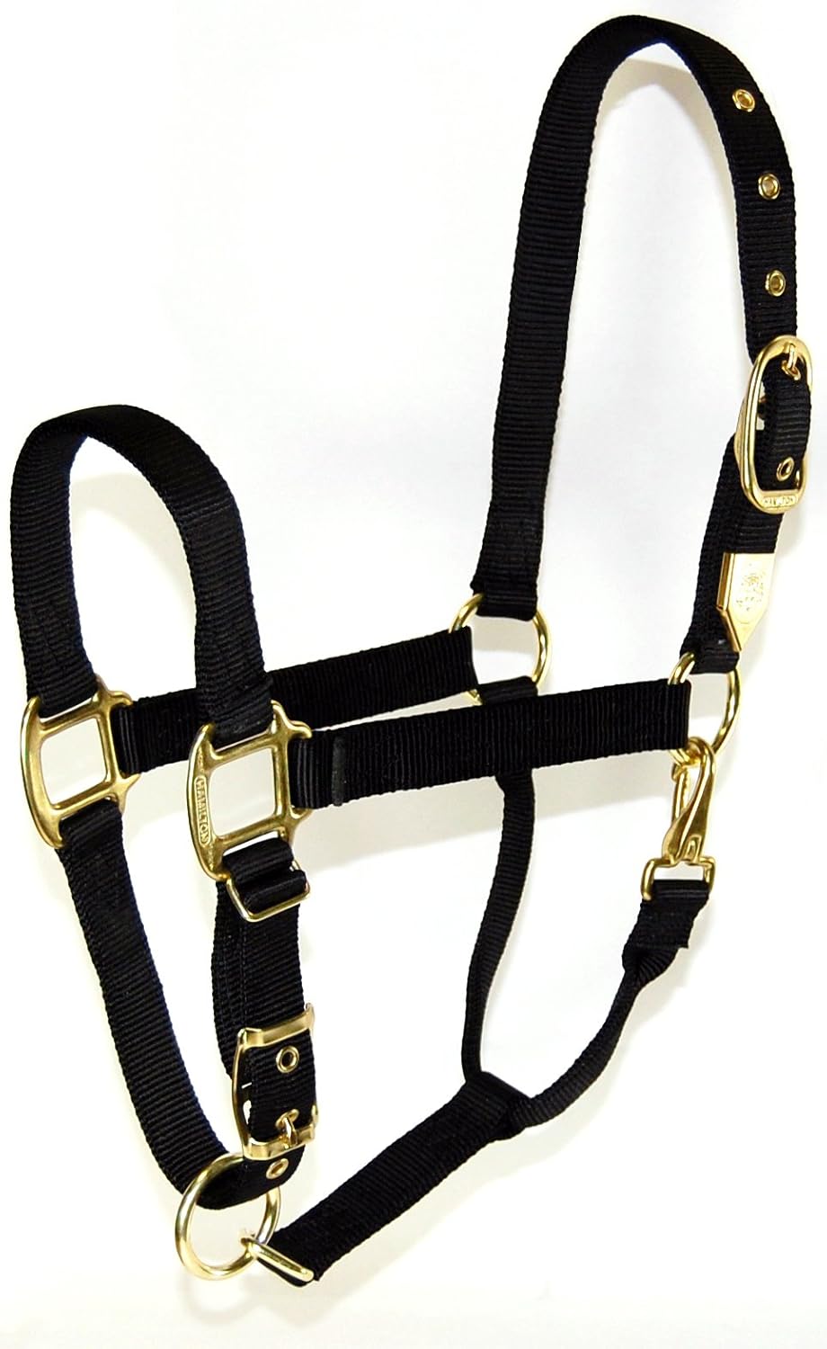 Average Navy Blue Hamilton Adjustable Miniature Nylon Horse Halter