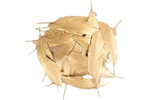 HaiMay 80 Pieces Gold Feathers for Craft Wedding Home Party Decorations, 6-8 Inches Goose Feathers Gold Craft Feathers