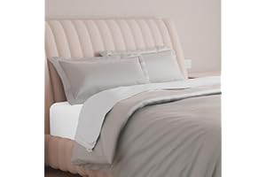 Carressa Linen 100% Egyptian Cotton Duvet Cover Queen Size - 600 Thread Count 1 PC Duvet Cover, Extra Long Staple Egyptian Cotton Quilt Cover, Soft, Breathable with Hidden Zipper Closure - Silver Grey