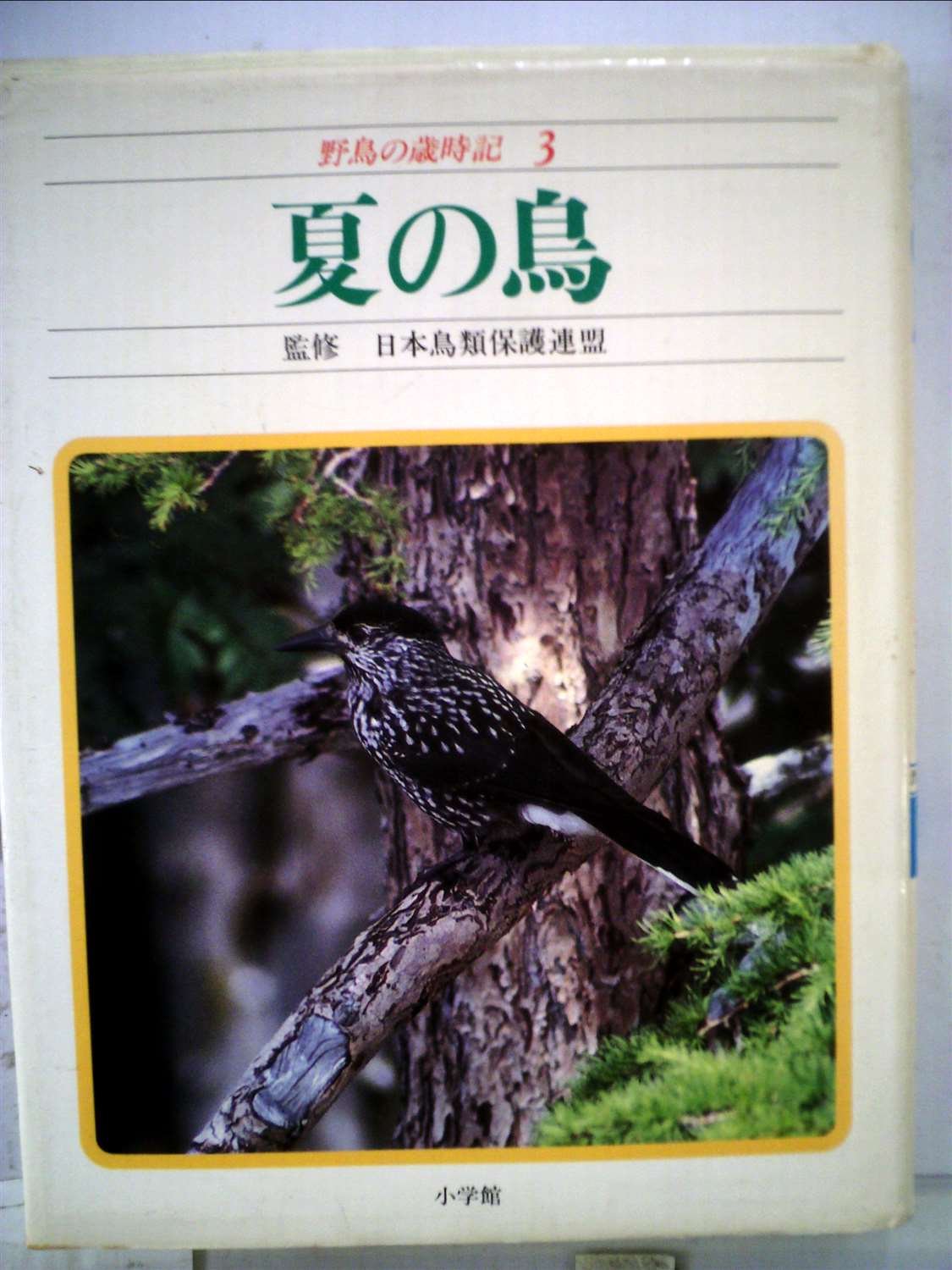 野鳥の歳時記 3 夏の鳥 本 通販 Amazon