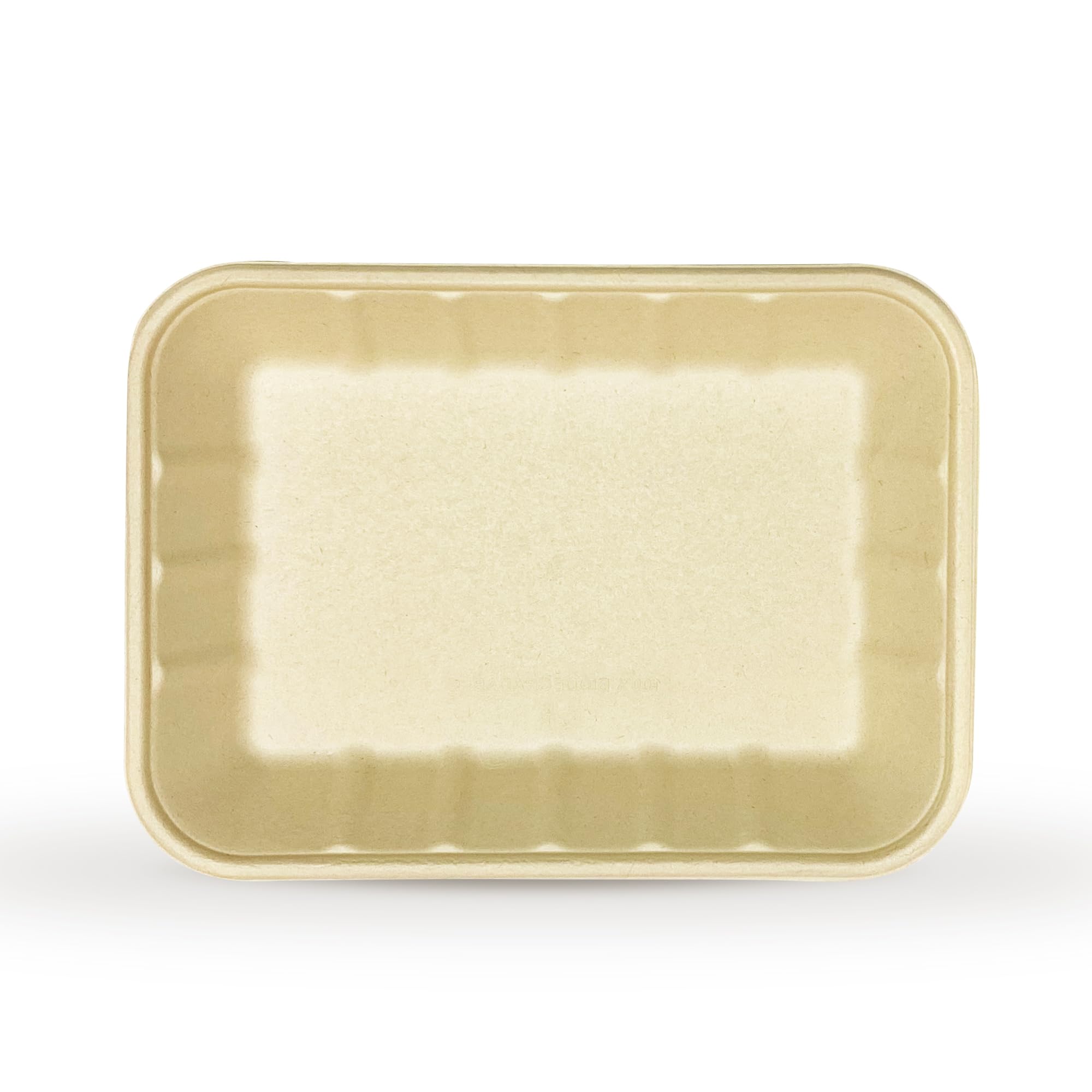 DISPOSABLE GREEN® | 24 cm x 18 cm Rectangle Tray | 25 Pcs | Super Strong | Unbleached Sugarcane Bagasse | Home COMPOSTABLE, Biodegradable, ECO Friendly