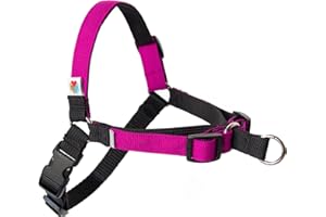 Wildebeest No Pull Dog Harness | Comfortable Training Harnesses | Effective No Pull Harness Design | Ideal for Small Dog and Puppy | 4-Point Adjustable (S - 18~24 inch Girth, Fuchsia)