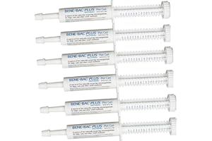 PETAG 6 Pack Bene-Bac Plus Gel, 15g Syringe 6 -Pack