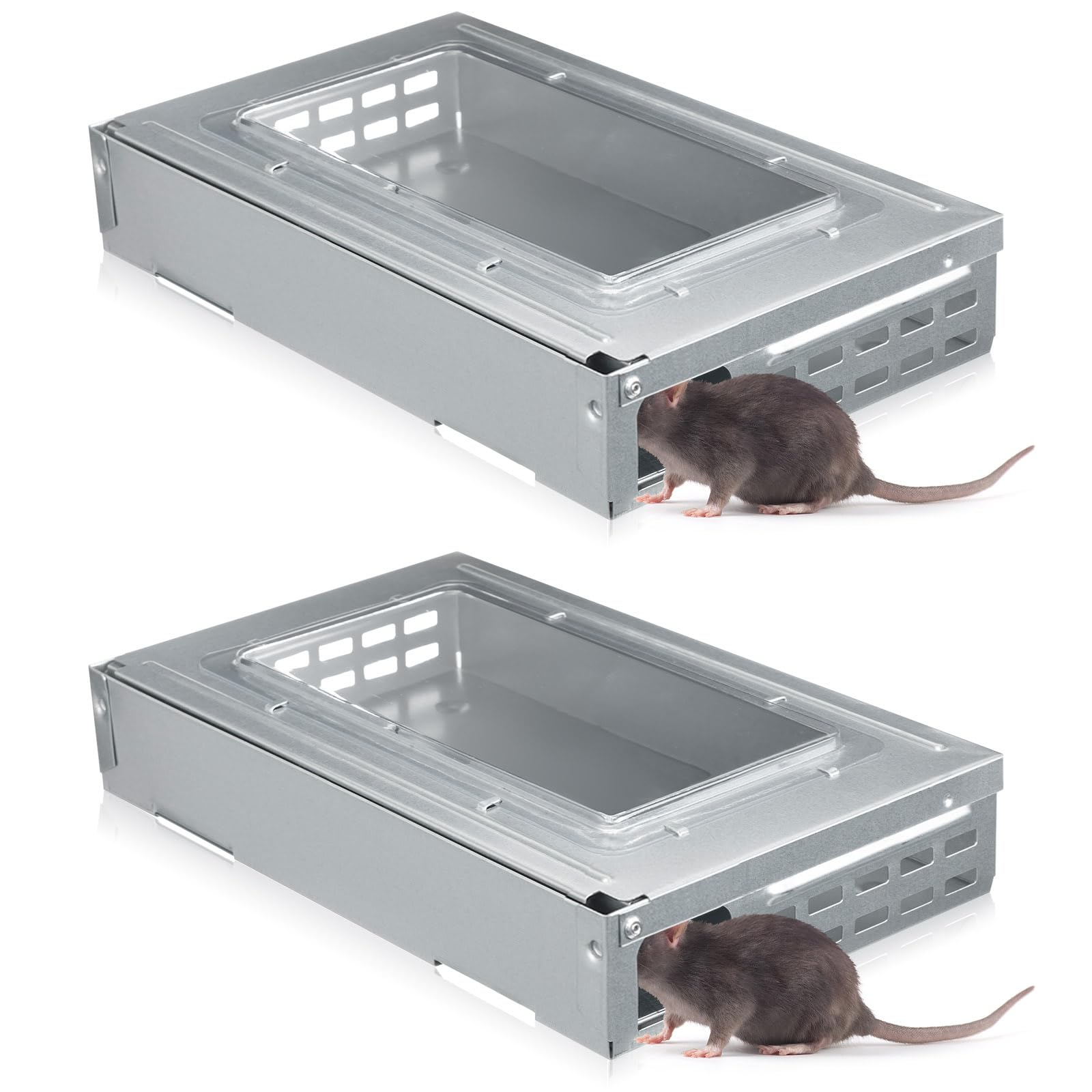 Photo 1 of Qualirey 2 Pack Multi Catch Mice Trap Clear Top Humanized Mouse Trap Rodent for Indoor Outdoor Rat Control Pet and Security (Silver Color)