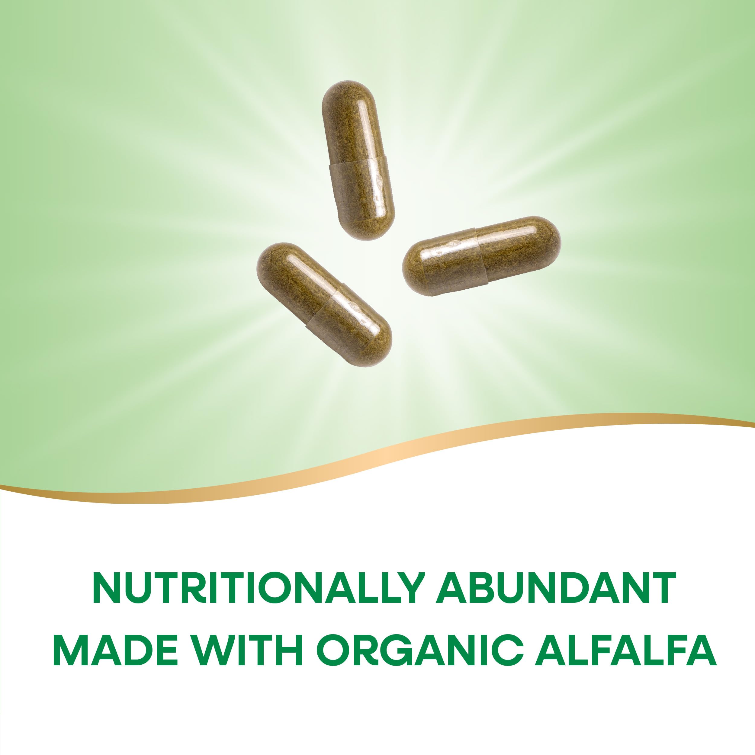 Nature's Way Alfalfa, Made With Organic Alfalfa, 1,215 mg per 3-capsule serving, Alfalfa Herbal Capsule, Gluten Free, Vegan, 100 Capsules (Packaging May Vary)