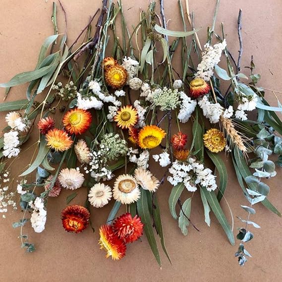 Dried Flower Stems, Strawflowers, Wedding Decoration