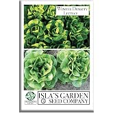 Winter Density Lettuce Seeds (Winter Gem) &ndash; 1000+ Non-GMO &amp; Heirloom Seeds, Lactuca Sativa, Crisp Romaine-Butterhead Hybrid, Cool Season Variety, by Isla&rsquo;s Garden Seeds, Gift Idea for Home Gardens