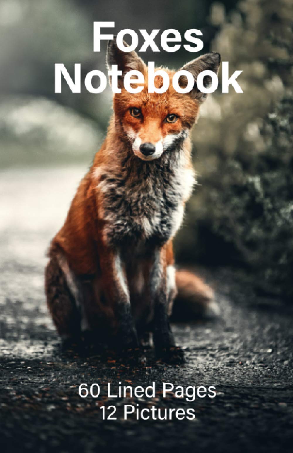 Foxes Notebook: 60 Lined Pages and 12 Fox Pictures (Cason Notebooks)