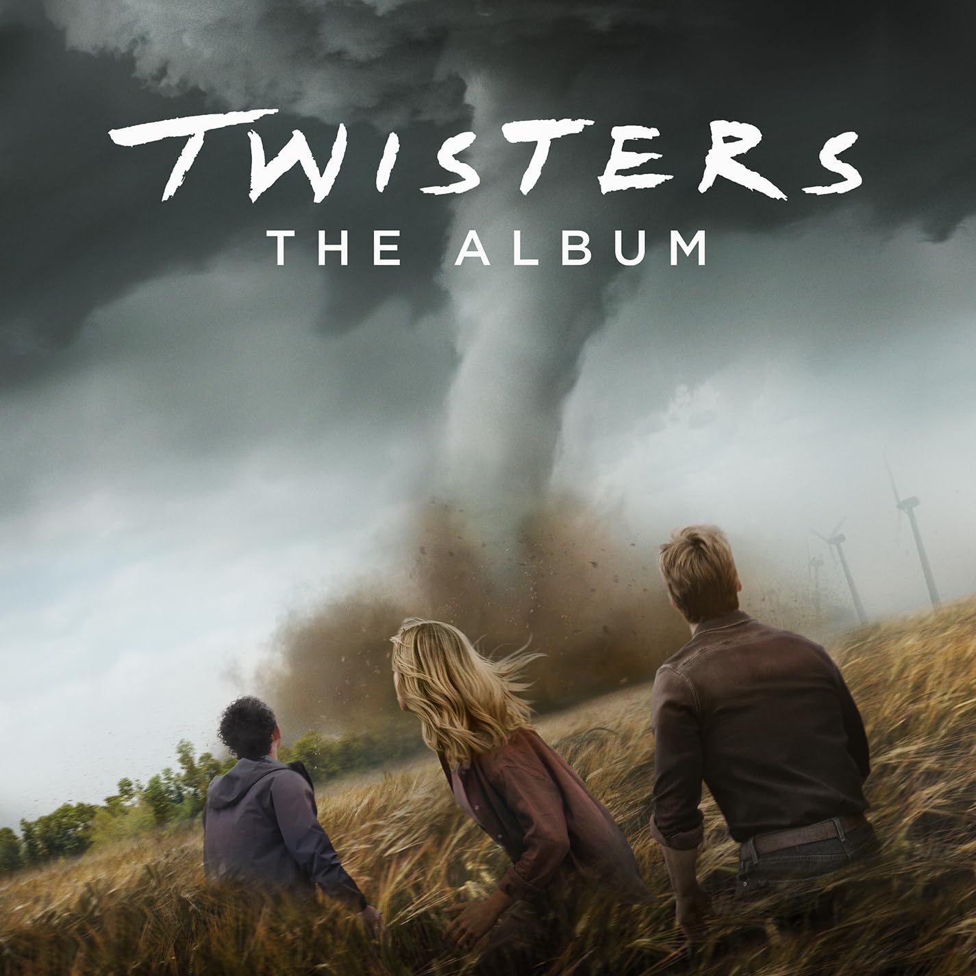 Photo 1 of Twisters: The Album