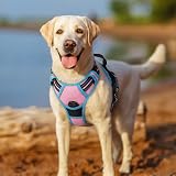 Rabbitgoo Dog Harness Large No Pull Reflective Adjustable Pink Blue L view 8