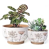 YBX 8 Inch + 6 Inch Ceramic Plant Pots, Succulent Flower Pots with Drainage Holes, Terracotta Planters for Indoor Plants, Whi