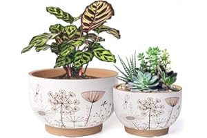 YBX YIBOXUAN YBX 8 Inch + 6 Inch Ceramic Plant Pots, Succulent Flower Pots with Drainage Holes, Terracotta Planters for Indoor Plants, White&Terracotta (Garden)