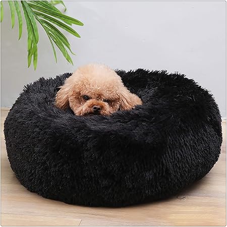 gp dog beds