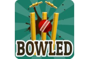 Bowled 3D - Cricket Game