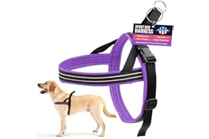 ComfortFlex Sport Dog Harness – No-Choke, Fully Padded, Non-Chafing Harness with Control Handle – Reflective, Lightweight, Adjustable for Active Dogs - Large, Purple