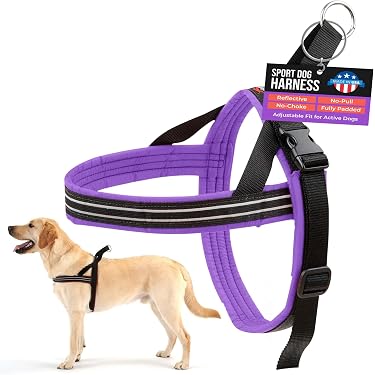 bayer corporation dog water bowl HydraPak Rover Dog Bowl
