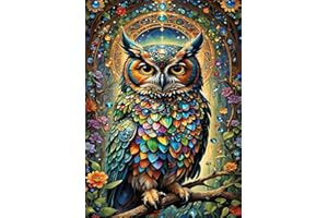 AIBOERL Diamond Painting Kits, Owl 5D DIY Full Drill Diamond Art Painting Kits for Adults, Seaside Diamond Painting Gem Art Craft for Home Wall Decor (11.8 * 15.8 inch)