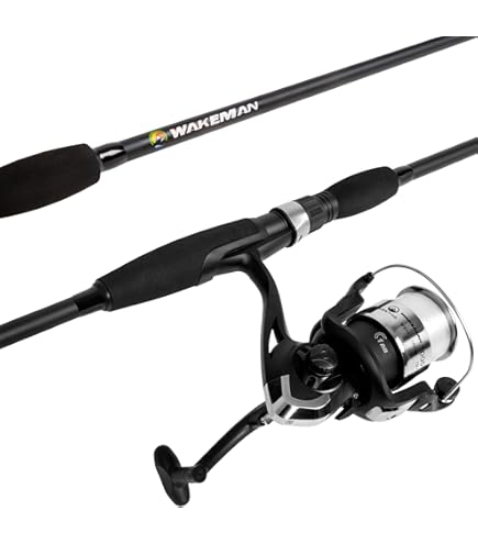 Amazon.com : Daiwa D-Shock DSK FW Spin PMC, 6'/Medium Light