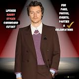 STAR CUTOUTS Harry Singer Songwriter Cardboard Cutout with Free Mini Standee view 5
