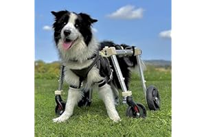 Elitix 2/4 Wheels Dog Wheelchair can Adjustable, Xs to XXL Leg Brace Wheel Chair for Small Medium Large Dog, Dog Mobility Aids for Back Legs(Blue,X-Small)