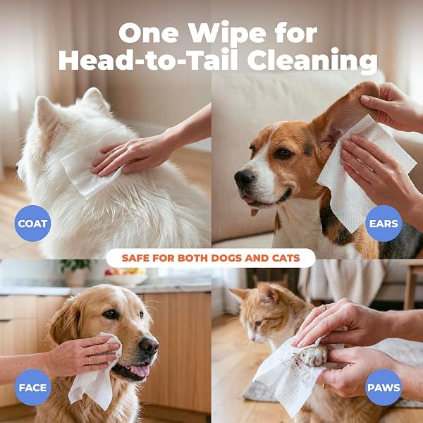 BEST PET SUPPLIES 8″ X 9″ LARGE UNSCENTED DOG WIPES – CLEANING AND DEODORIZING FOR PAWS AND COAT – GENTLE FORMULA WITH OATMEAL VITAMIN E FOR PUPPIES AND CATS – 100 COUNT