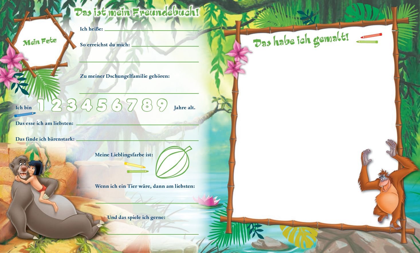 Disney Das Dschungelbuch Meine Ersten Freunde Amazon De Bucher