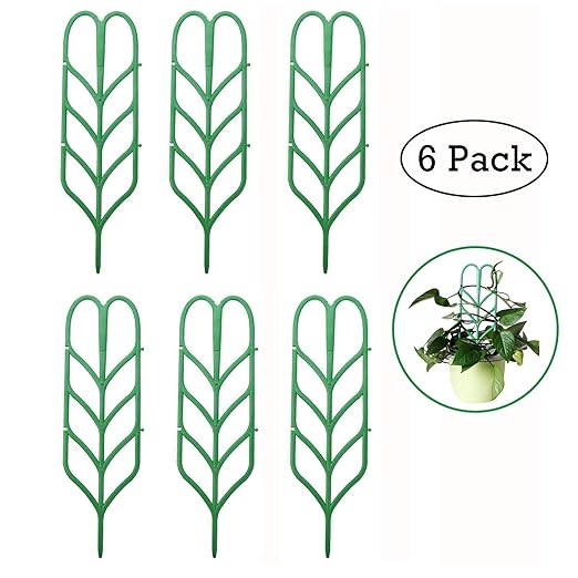 6 piezas Jardín enrejado para mini plantas trepadoras, forma de ...