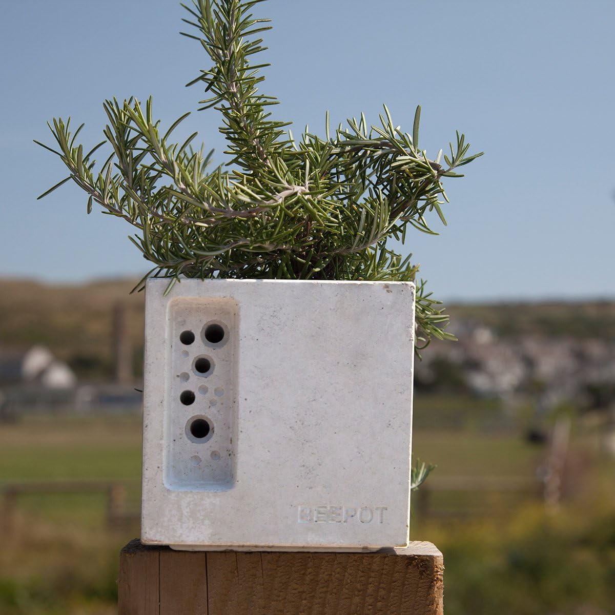Nichoir à abeilles solitaires: Amazon.es: Jardín