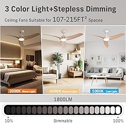 TAVZAKE Ceiling Fans with Lights, 42 inch Low