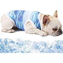 PUMYPOREITY Dog Cooling Vest T-Shirt 