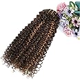 4/30 Brown Kinkys Curly Real Hair Extensions Clip in Human Hair for Black Women, Urbeauty 12 Inch Curly Clip In Hair Extensions 10Pcs/Set For a Full Head Ombre Curly Hair Extensions 10a Hair