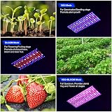 DragonLight BW1000 LED Grow Light 3m Cable Full Spectrum Veg Bloom Switch view 3