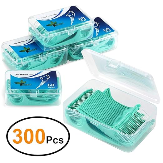 Zahnseide 300 Stk. Zahnseide Sticks Zahnstocher kunststoff Zahnpflege Dental Floss Zahnreiniger Sticks mit Griff - Zahnseiden