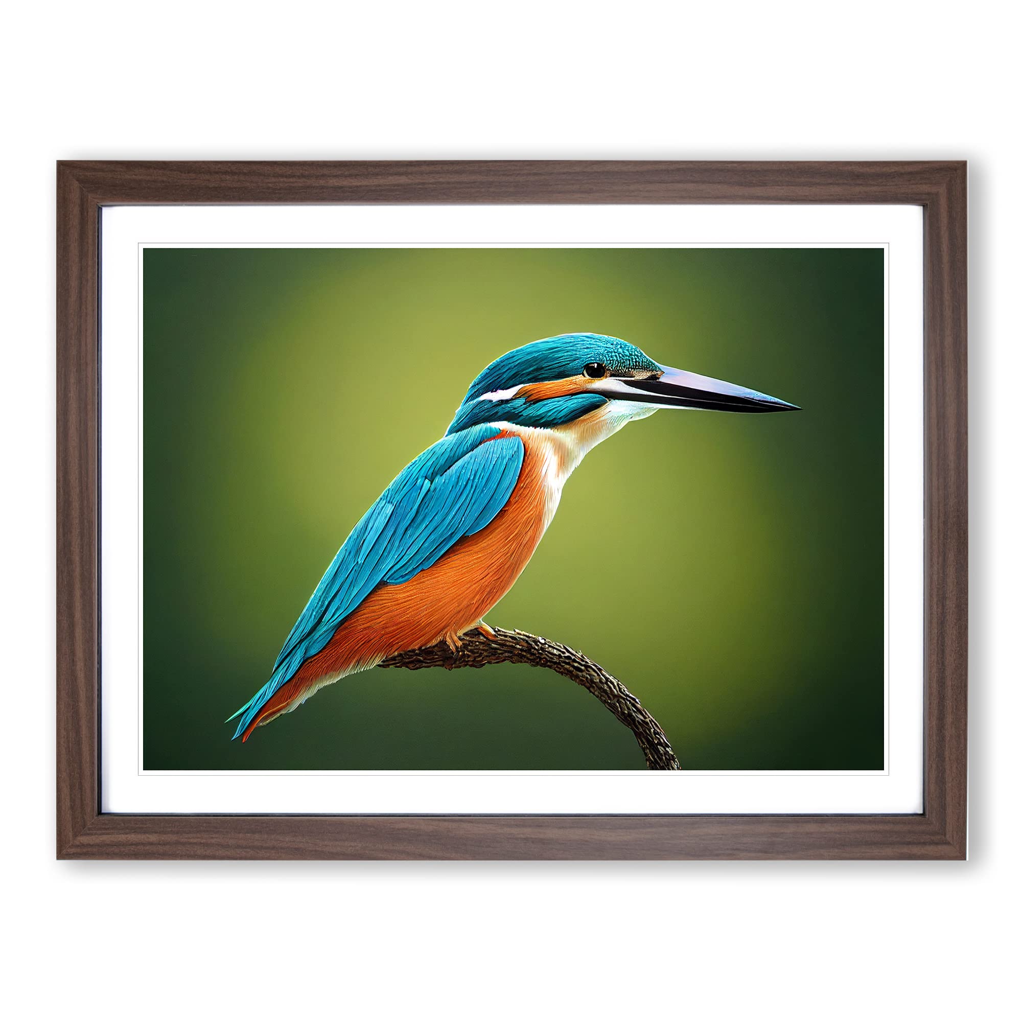 Dynamic Kingfisher Bird Framed Print | A4 Walnut Framed Wall Art | Ready to Hang | Modern Nature Picture | Living Room Bedroom Lounge Office