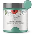 Country Chic All-in-One Chalk Paint for Furniture, Cabinets, Home Decor, Eco-Friendly, Matte Finish, Built-In Primer & Top Coat for Wood, Metal - Bliss (Teal) - Pint 16 oz (475 ml)