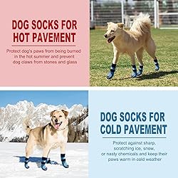 EXPAWLORER Anti Slip Dog Socks to Prevent Licking