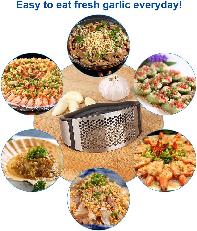 DXYD Garlic Press Rocker, New Kitchen Stainless Steel Garlic Mincer Crusher, Matching Stainless Steel Dessert Spoon and Silicone Roller Peeler and Cleaning Brush: Kitchen & Dining
