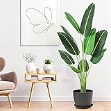 Amyove 5 Ft Artificial Tree Bird of Paradise