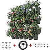 Grow bewässerungssystem Grow bewässerungssystem