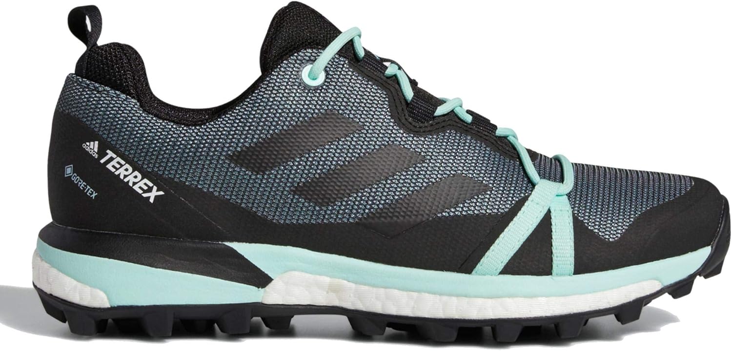 adidas terrex skychaser gtx womens